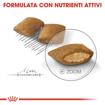 Crocchette con ripieno, dimensione indicata 1 cm. Testo visibile: FORMULATA CON NUTRIENTI ATTIVI. Pulsante zoom per ingrandire il dettaglio.