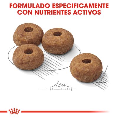 Cuatro croquetas redondas de pienso, diámetro aproximado 1 cm, con texto: Formulado específicamente con nutrientes activos.