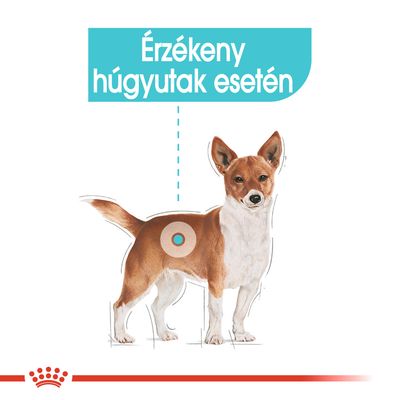 Érzékeny húgyutak esetén – szöveg kutya illusztrációval, kiemelt körrel a hátsó részen