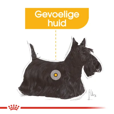 Illustratie van een zwarte hond met tekst 'Gevoelige huid' en markering op de vacht, wijzend op het thema gevoelige huid bij honden.