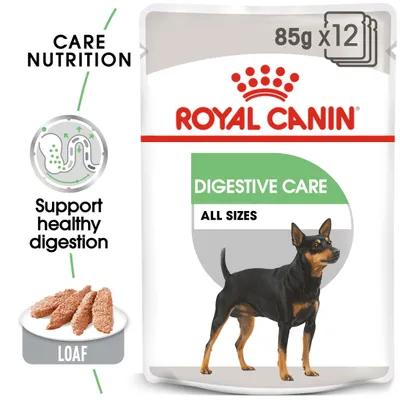 Digestive Care loaf, 85g x12 pack. Supports healthy digestion for all sizes. Care Nutrition. Image shows product pouch, food texture and a dog illustration.