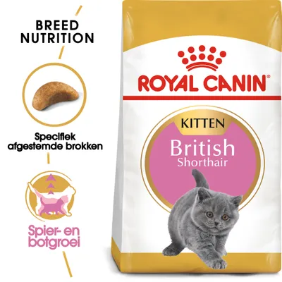 Royal Canin Kitten British Shorthair kattenvoer, tekst: Breed Nutrition, Specifiek afgestemde brokken, Spier- en botgroei. Afbeelding van grijze kitten en brokjes.