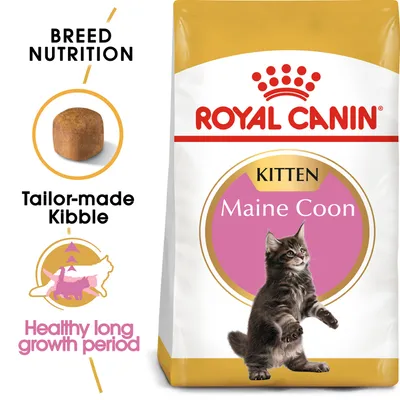 Royal Canin Kitten Maine Coon torrfoderförpackning med synlig foderbit, text: Breed Nutrition, Tailor-made Kibble, Healthy long growth period. Bild på kattunge.