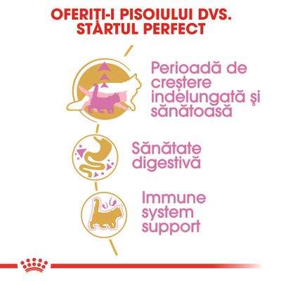 OFERIȚI-I PISOIULUI DVS. STARTUL PERFECT. Perioadă de creștere îndelungată și sănătoasă, Sănătate digestivă, Immune system support.