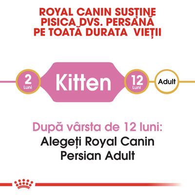 Royal Canin susține pisica dvs. persană pe toată durata vieții. Kitten 2–12 luni. După vârsta de 12 luni: Alegeți Royal Canin Persian Adult.