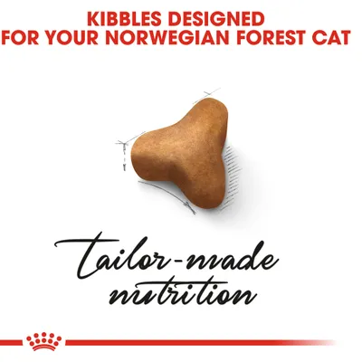 Kibbles designed for Norwegian Forest Cat with tailor-made nutrition text and image of a single kibble piece.