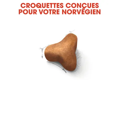 Croquettes conçues pour votre Norvégien, image d'une croquette marron en forme de triangle arrondi avec des schémas de dimensions autour.