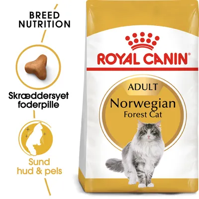 Royal Canin ADULT Norwegian Forest Cat kattefoder. Tekst: BREED NUTRITION, Skræddersyet foderpille, Sund hud & pels. Billede af foderpille og norsk skovkat.