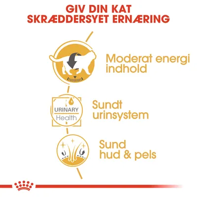 Giv din kat skræddersyet ernæring. Moderat energiindhold, sundt urinsystem, URINARY Health, sund hud & pels.