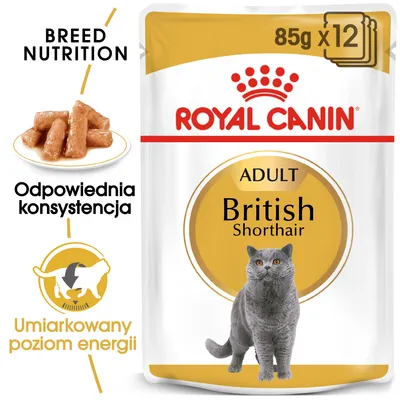 ROYAL CANIN ADULT British Shorthair, 85 g x12. Odpowiednia konsystencja, umiarkowany poziom energii. Na opakowaniu grafika kota brytyjskiego krótkowłosego.