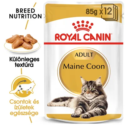 Royal Canin Adult Maine Coon 85 g x12, különleges textúra, csontok és ízületek egészsége. Csomagoláson fekvő Maine Coon macska képe. Royal Canin Adult Maine Coon 85 g x12, különleges textúra, csontok és ízületek egészsége. Csomagoláson fekvő Maine Coon macska képe.