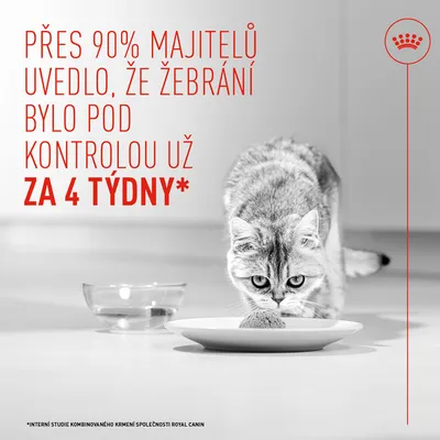 Royal Canin Appetite Control Care AirLift Mousse - výhodné balení: 24 x 85 g