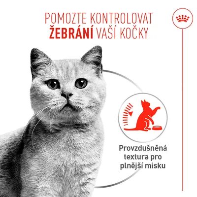 Royal Canin Appetite Control Care AirLift Mousse - výhodné balení: 24 x 85 g
