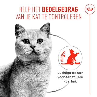 Royal Canin Appetite Control Care AirLift Mousse -12 x 85 g