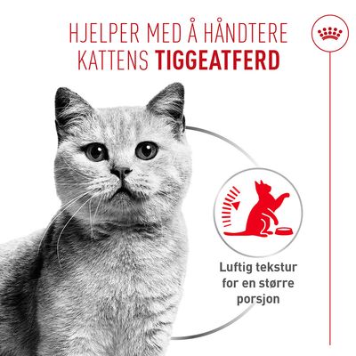 Royal Canin Appetite Control Care AirLift Mousse