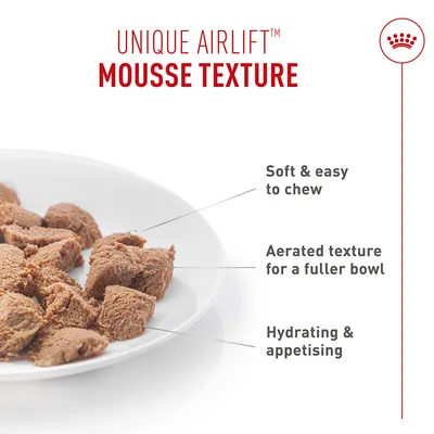 Royal Canin Appetite Control Care AirLift Mousse - Økonomipakke: 24 x 85 g