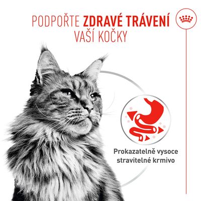 Royal Canin Digestive Care AirLift Mousse - výhodné balení: 24 x 85 g