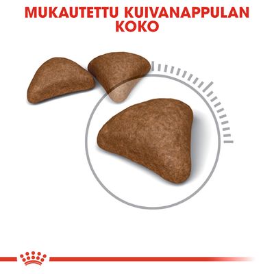 Mukautettu kuivanappulan koko. Kuvassa kolme ruskeaa, kolmiomaista kuivaruokanappulaa ja ympyrä korostamassa kokoa.