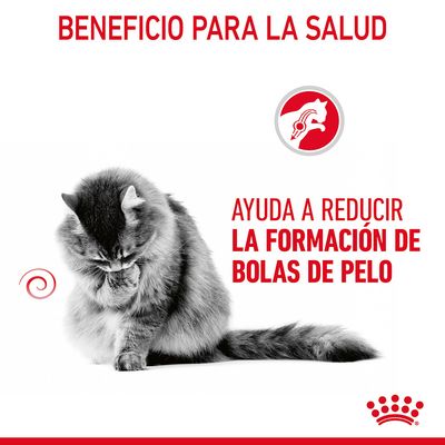 Beneficio para la salud. Ayuda a reducir la formación de bolas de pelo. Imagen de un gato acicalándose y símbolo relacionado con el cuidado felino.