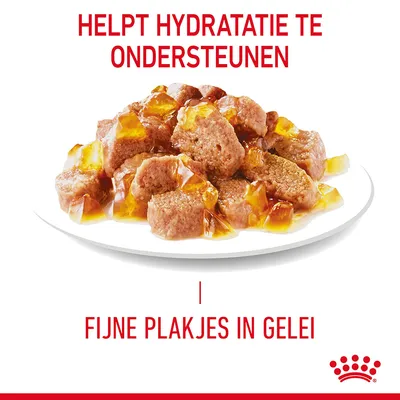 Helpt hydratatie te ondersteunen. Fijne plakjes in gelei. Schotel met stukjes natvoer en gelei, Royal Canin merk zichtbaar.