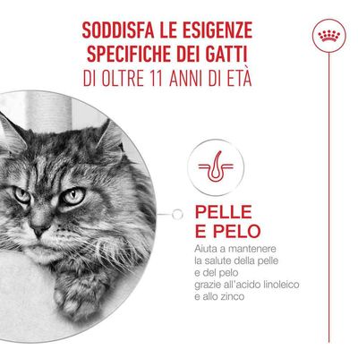 Royal Canin Ageing 11+