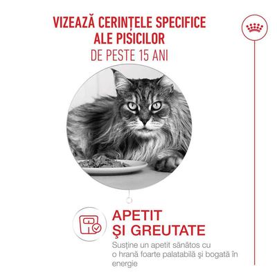 Royal Canin Ageing 15+ - 400 g