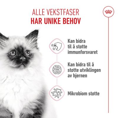 Royal Canin Kitten
