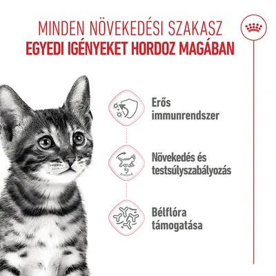 Royal Canin Kitten Sterilised - 2 kg