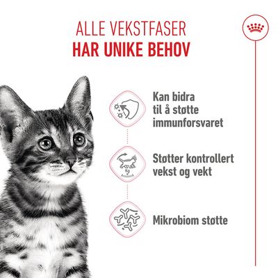 Royal Canin Kitten Sterilised