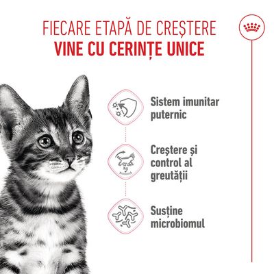 Grafică cu o pisică și trei simboluri: întărirea sistemului imunitar, creștere și controlul greutății, susținerea microbiomului. Text în limba română.