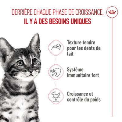 Derrière chaque phase de croissance, il y a des besoins uniques. Texture tendre pour les dents de lait, système immunitaire fort, croissance et contrôle du poids.
