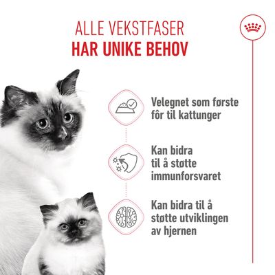 Royal Canin Mother & Babycat Ultra Soft Mousse