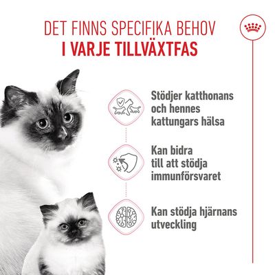 Royal Canin Mother & Babycat