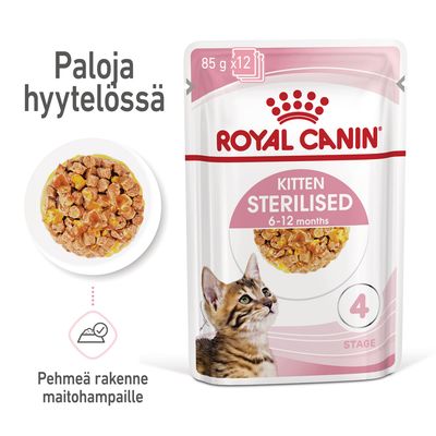 Royal Canin FHN Kitten Sterilised hyytelössä 12 x 85 g