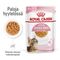 Royal Canin FHN Kitten Sterilised hyytelössä 12 x 85 g