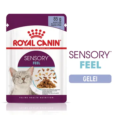 ROYAL CANIN SENSORY FEEL kattenvoer, 85 g, hapjes in gelei. Tekst: SENSORY FEEL GELEI. Afbeelding van kat en voer. Feline Health Nutrition.