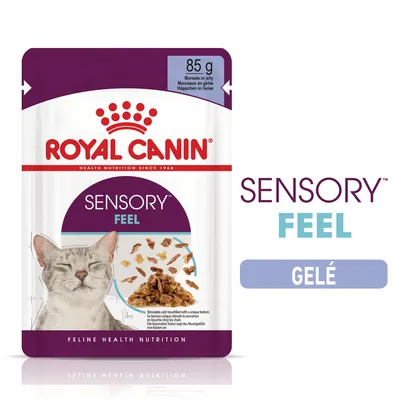 ROYAL CANIN SENSORY FEEL gelé våtfoder för katt, 85 g. Bild på förpackning med texten 'SENSORY FEEL GELÉ' och bitar av foder i gelé. ROYAL CANIN SENSORY FEEL gelé våtfoder för katt, 85 g. Bild på förpackning med texten 'SENSORY FEEL GELÉ' och bitar av foder i gelé.
