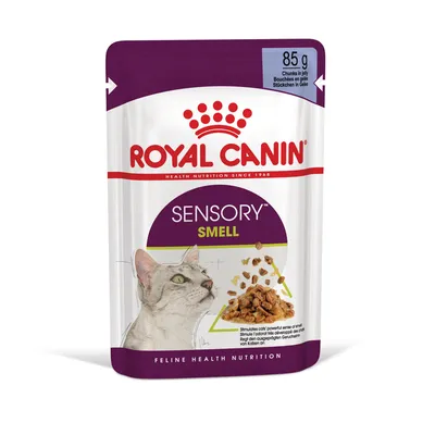 Royal Canin Sensory Smell kissan märkäruoka, 85 g. Pakkauksessa kuva kissasta ja annoksesta hyytelössä. Teksti: Chunks in jelly, Feline Health Nutrition.