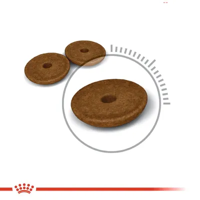 Tre runde, brune foderpiller med hul i midten vist på hvid baggrund. Forstørret visning af én pille fremhævet med cirkel og grå markeringer.