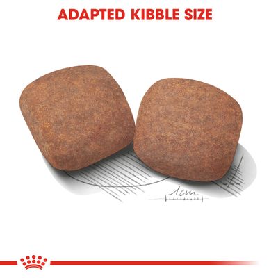 Две квадратные гранулы корма, подпись на английском: ADAPTED KIBBLE SIZE, видна шкала с отметкой 1 см для сравнения размера.
