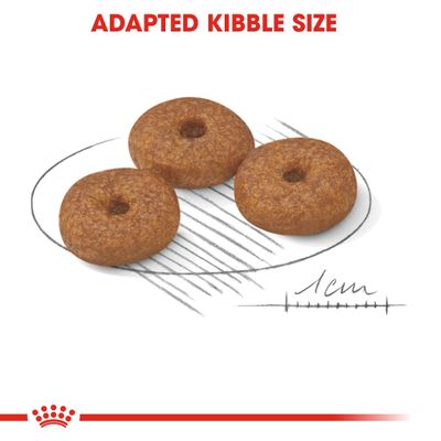 Три круглые гранулы корма, подпись сверху: ADAPTED KIBBLE SIZE. Снизу линейка с отметкой 1 см для сравнения размера.