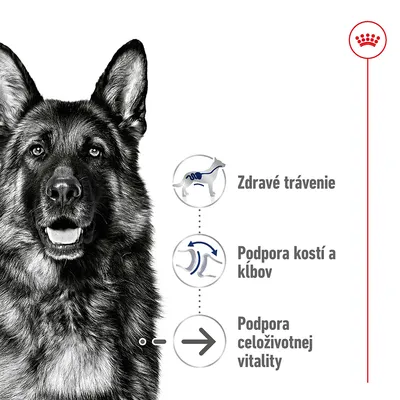 Nemecký ovčiak vedľa ikon s textom: Zdravé trávenie, Podpora kostí a kĺbov, Podpora celoživotnej vitality. Vpravo hore červená korunka Royal Canin.