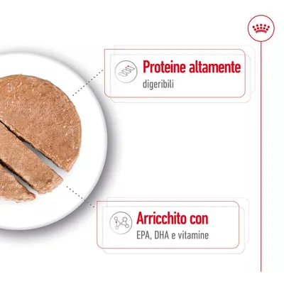 Proteine altamente digeribili. Arricchito con EPA, DHA e vitamine. Immagine di alimento umido per animali tagliato a fette su piatto bianco.