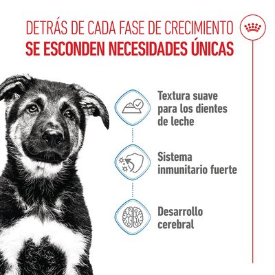 Royal Canin Maxi Puppy en salsa - Pack % -  40 x 140 g