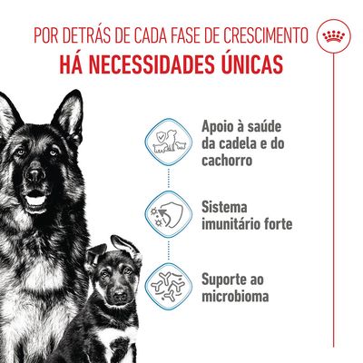 Royal Canin Maxi Starter Mother & Babydog - 15 kg