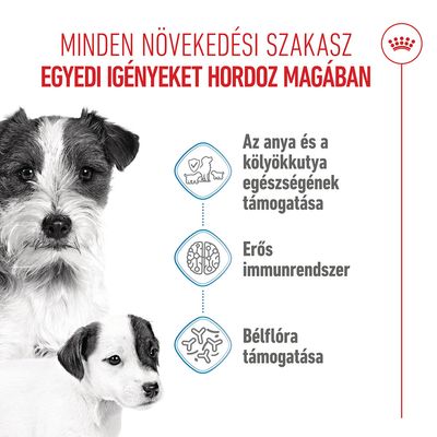 Royal Canin Mini Starter Mother & Babydog