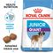 Royal Canin Giant Junior 15 kg
