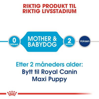 Royal Canin Maxi Starter Mother & Babydog