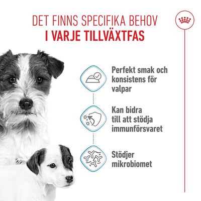 Royal Canin Starter Mother & Babydog Ultra Soft Mousse