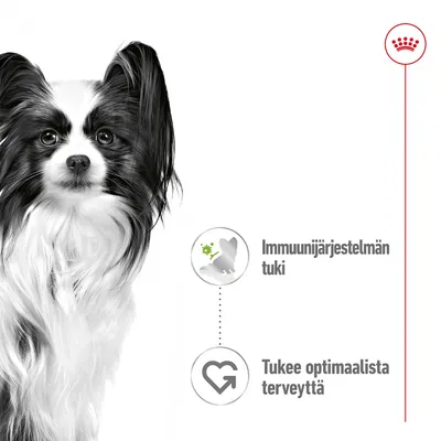 Papillon-koira, tekstit: Immuunijärjestelmän tuki, Tukee optimaalista terveyttä. Oikeassa yläkulmassa punainen kruunu-symboli.